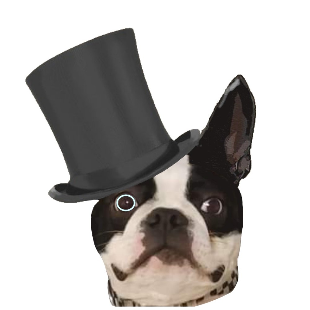 Meet your Posher, Posh